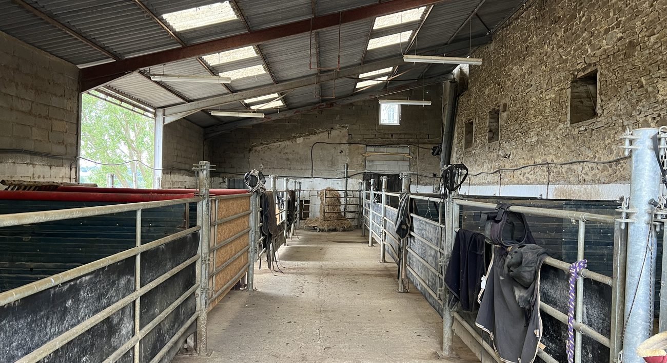 Écurie intérieure avec boxes spacieux pour l'hébergement ponctuel des chevaux